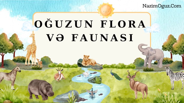 Flora və faunası